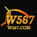 W567 Game